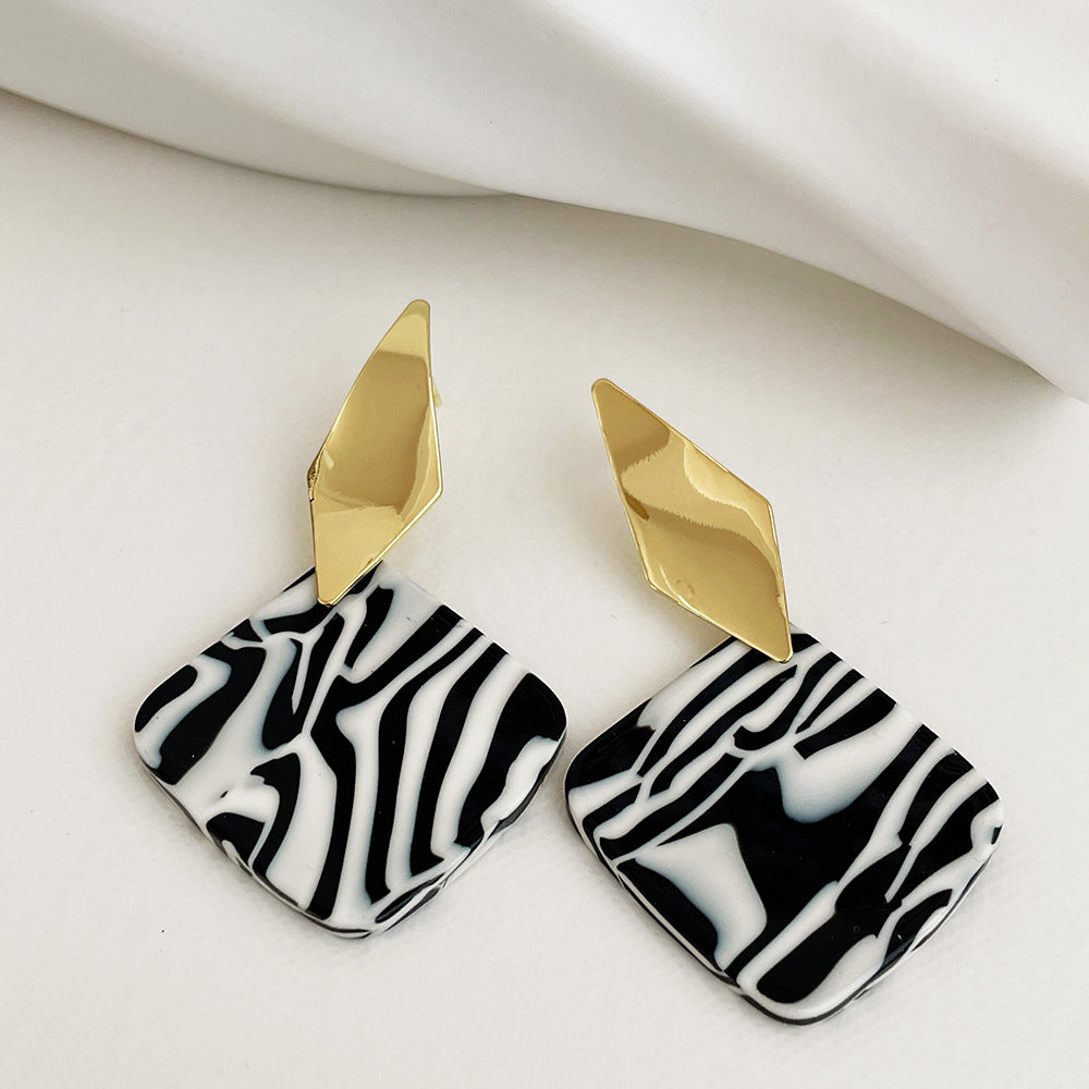 Korean Design Sense Geometric Resin Earrings Female S925 Silver Needle Personality Temperament Metal Earrings Jewelry