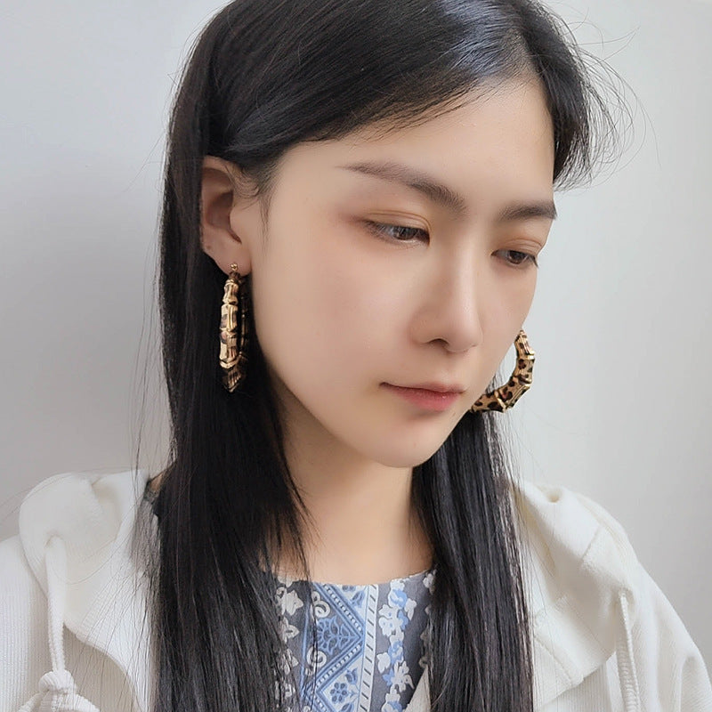 Leopard Temperament Simple Large Stud Earrings Personality Versatile Trend Women's Earrings