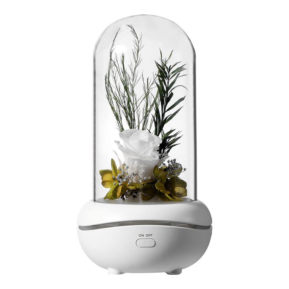 Eternal Flower USB Essential Oil Aromatherapy Machine Mini Home/Car Aromatherapy Home Decor Ornament Perfumed lamp