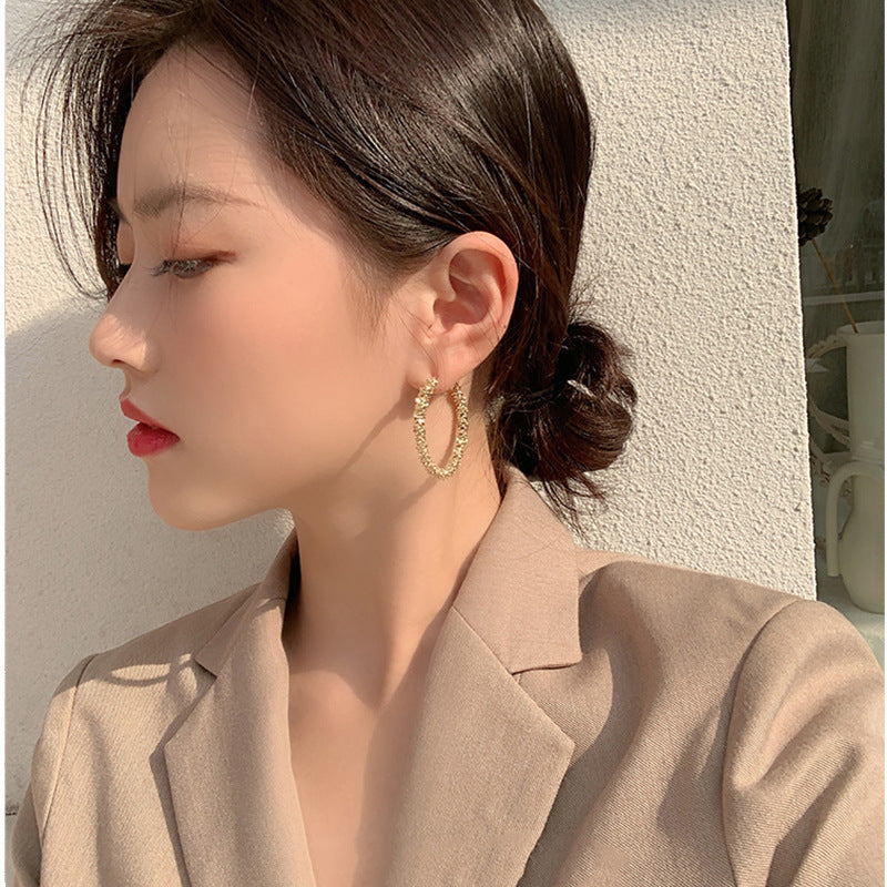 Large Circle Exaggerated Earrings Simple Fashion Earrings New Trendy Korean Temperament Net Red Earrings 925 Silver Needles