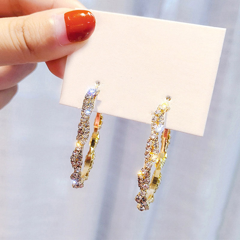 Large Circle Exaggerated Earrings Simple Fashion Earrings New Trendy Korean Temperament Net Red Earrings 925 Silver Needles